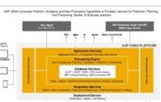 SAP B1 Hana