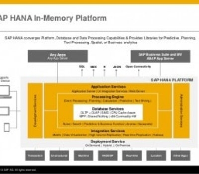 SAP B1 Hana