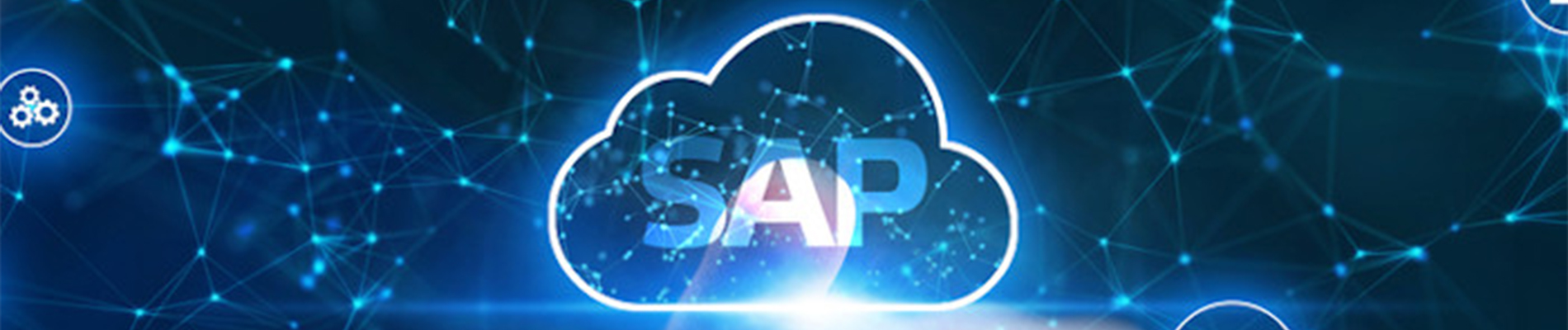 SAP Business One in Sales and Marketing