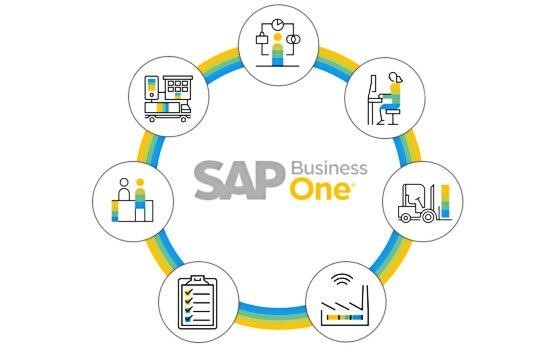 SAP Business One circle chart