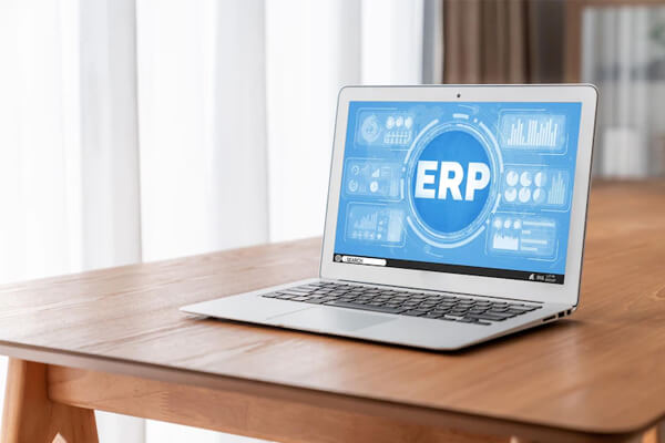 From Excel to ERP