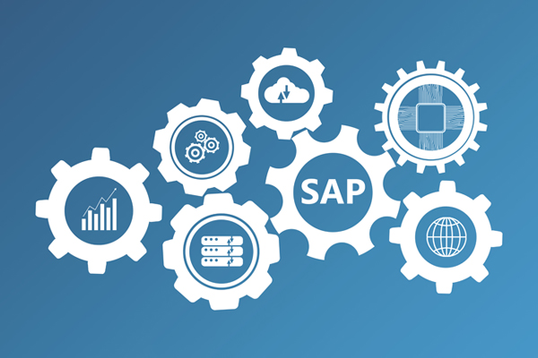 SAP Business One Work