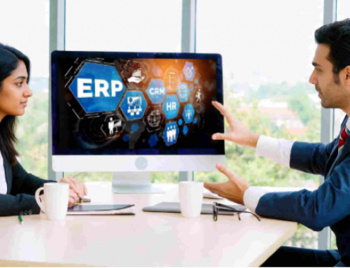The Hidden Role of ERP Experts in Business Process Optimisation