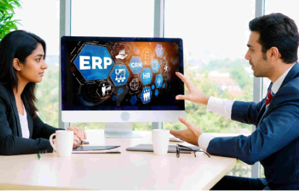 role of expert in erp implementation