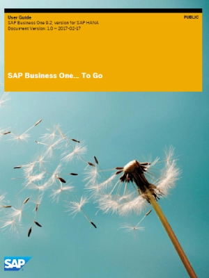 SAP Business One To Go Release 92