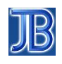Jai Bhavani Group of Companies Logo