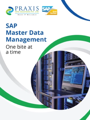 SAP Master Data Management – One bite at a time