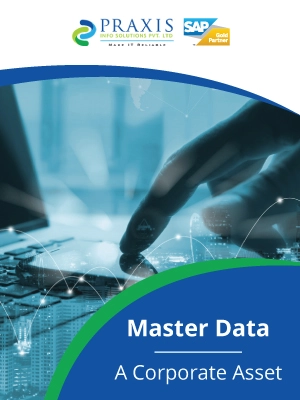 Master Data – A Corporate Asset